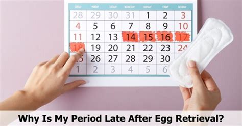 six hours <b>after</b> fertilization. . Why is my second period late after egg retrieval